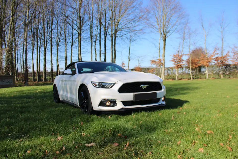 Luxury Cars Events — photo 5