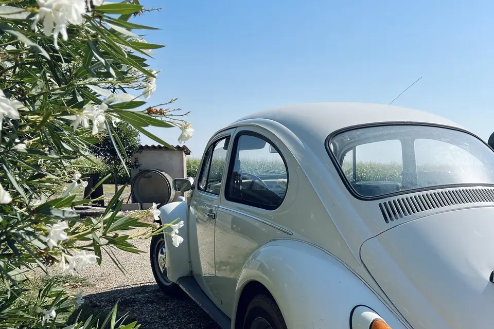 Pops Event — photo 4