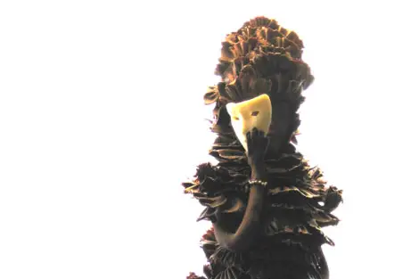 Pâtisserie Chocolaterie Jean-Luc — photo 6