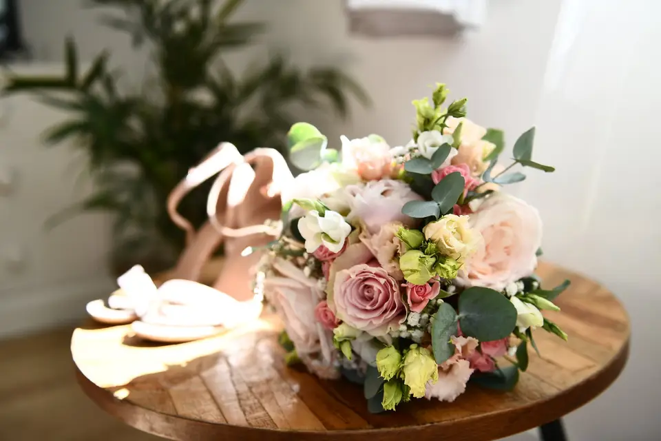 Noréa Concept — photo 5