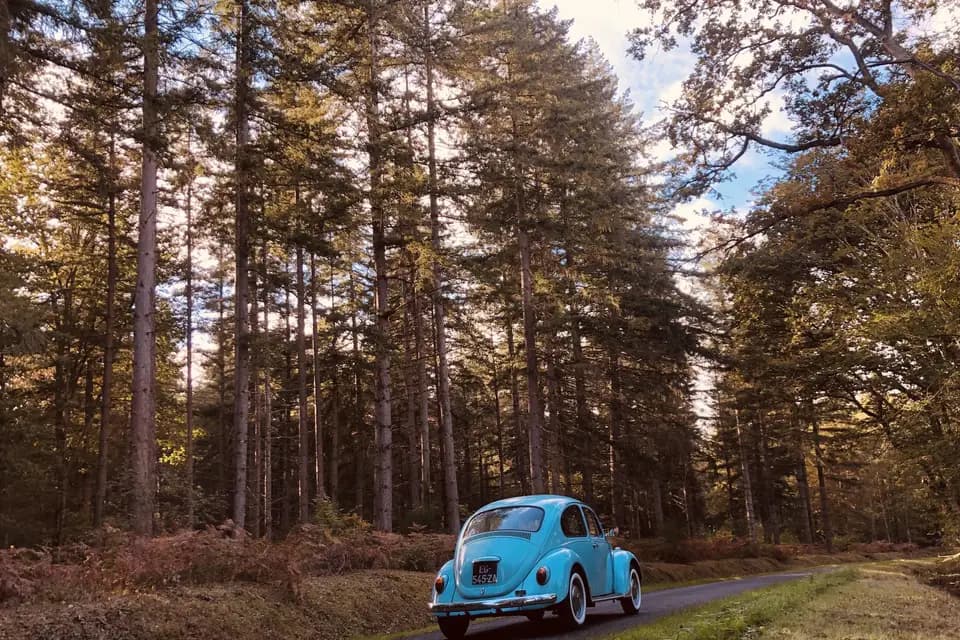 Michael Monin — photo 2