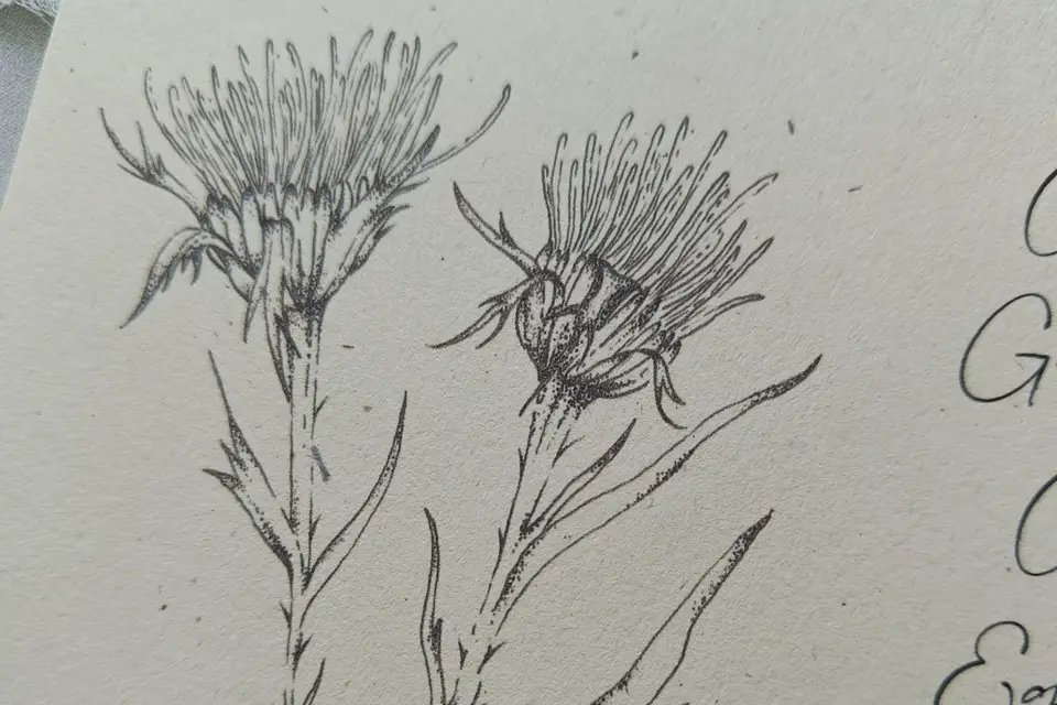 Papier Sauvage — photo 7