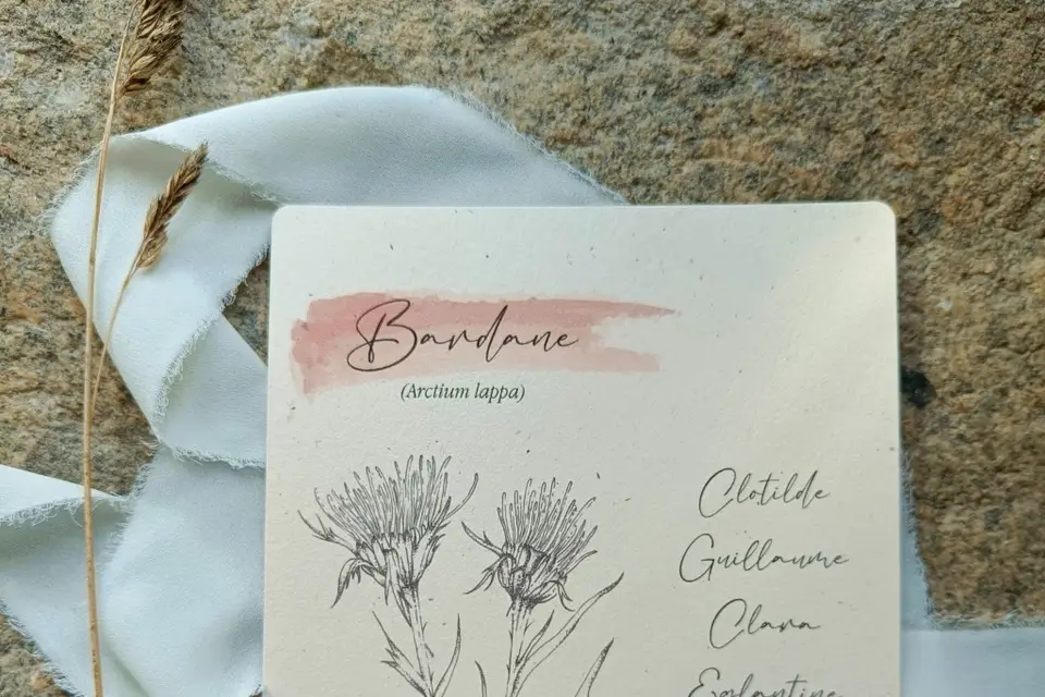 Papier Sauvage — photo 6