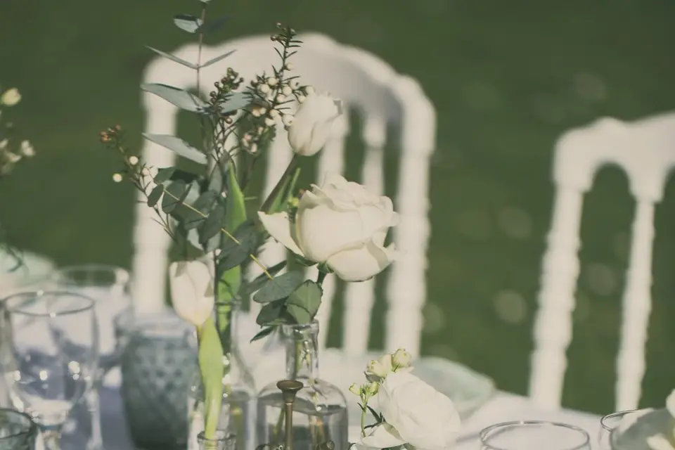 Au Zèbre Location — photo 4