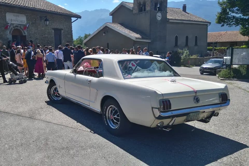 Sono black and white — photo 8