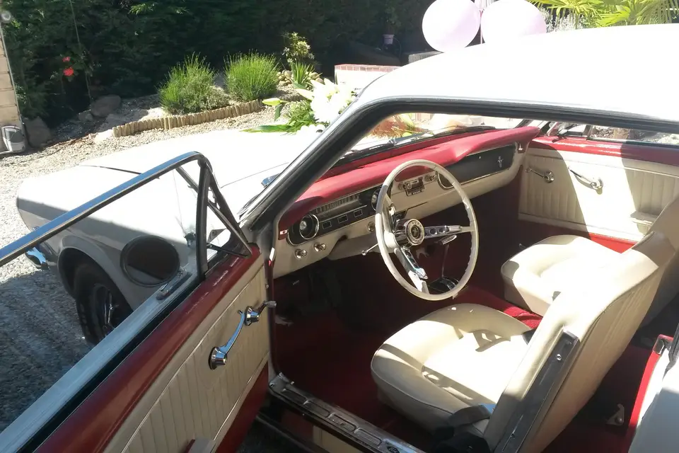 Sono black and white — photo 1