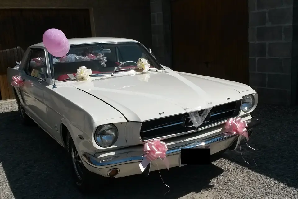 Sono black and white — photo 2