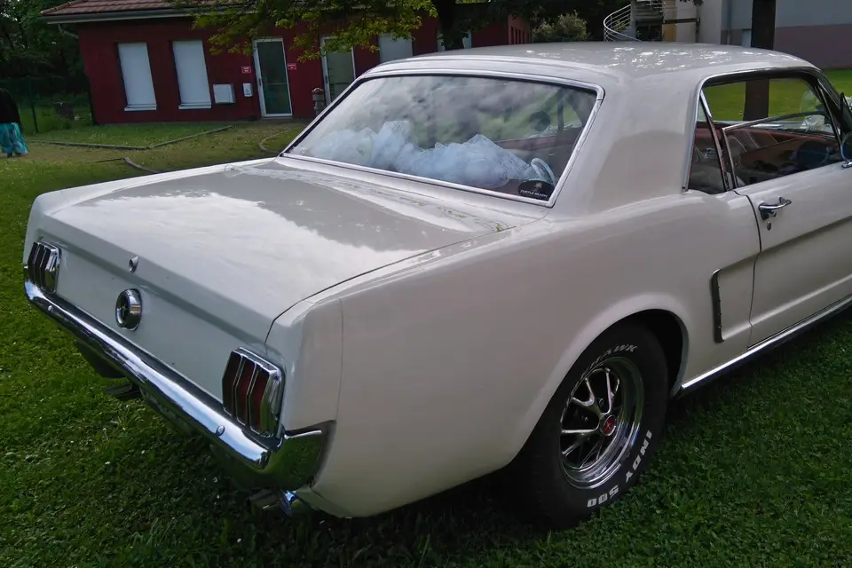 Sono black and white — photo 6