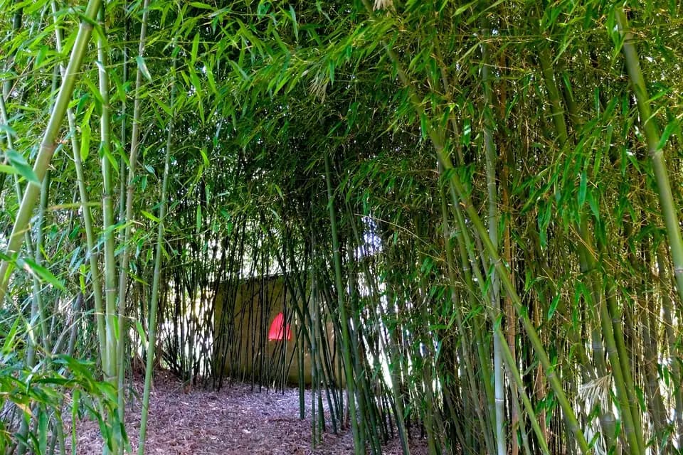 Le Chalet des Aulnes — photo 7