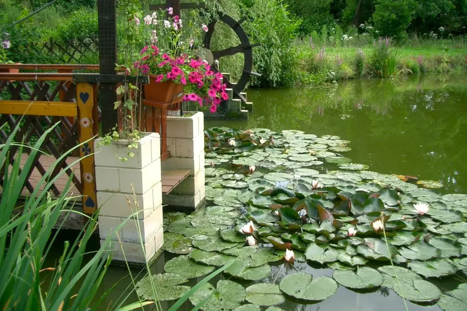 Le Chalet des Aulnes — photo 5