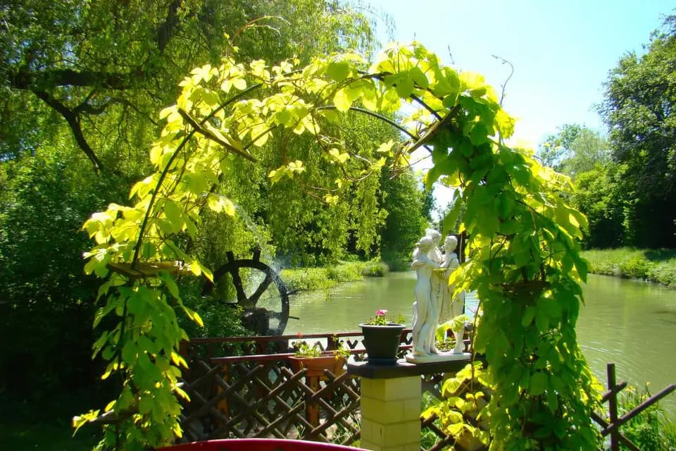 Le Chalet des Aulnes — photo 6