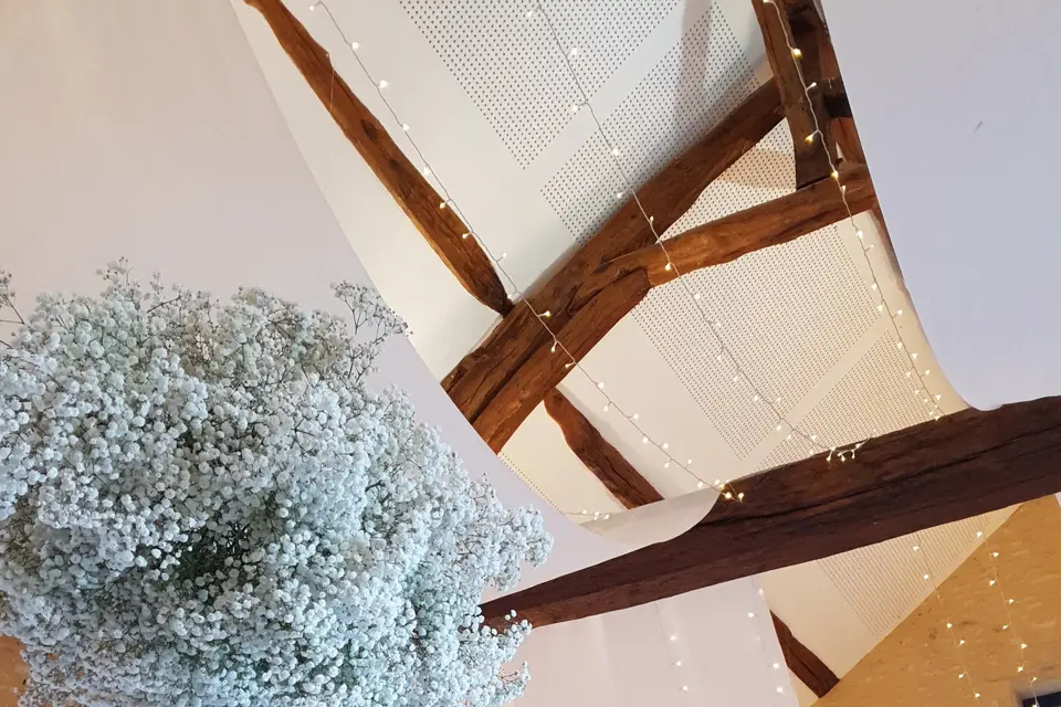 Mld Fleurs — photo 4