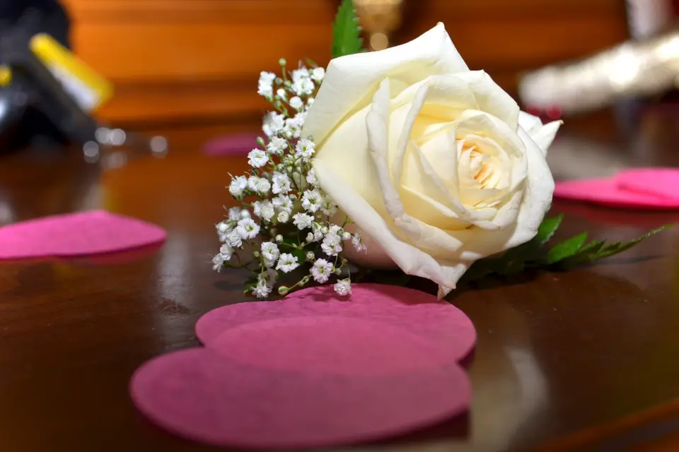 Vania Bartolomeu Photographie — photo 7