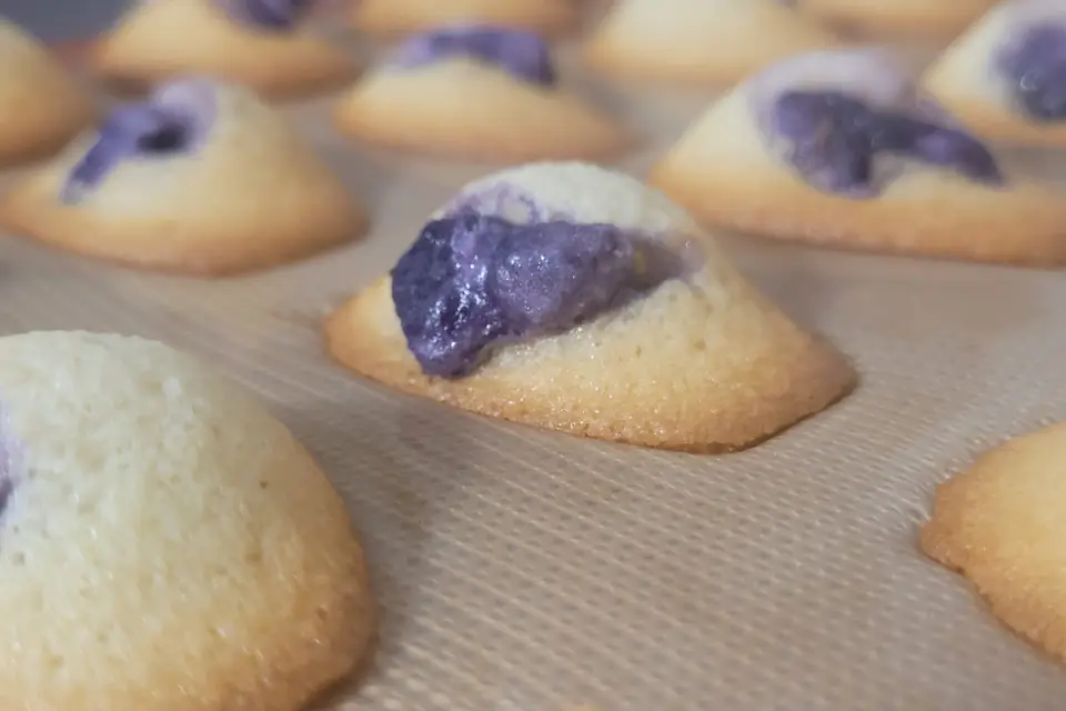 Balmadeleine — photo 2