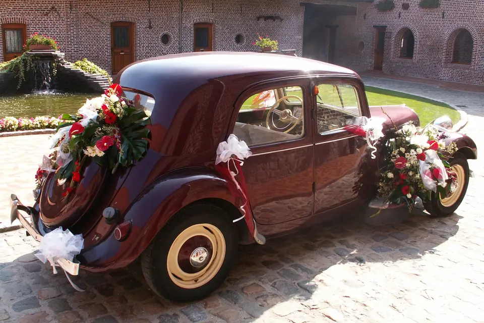 Domaine des Cigognes — photo 8