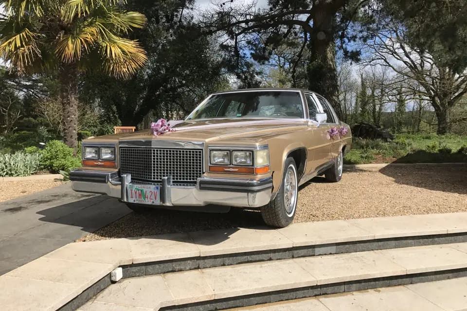 EVTC - Véhicule avec chauffeur — photo 3