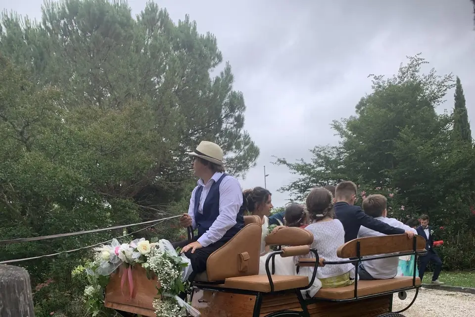 Les Sabots de Menon — photo 8