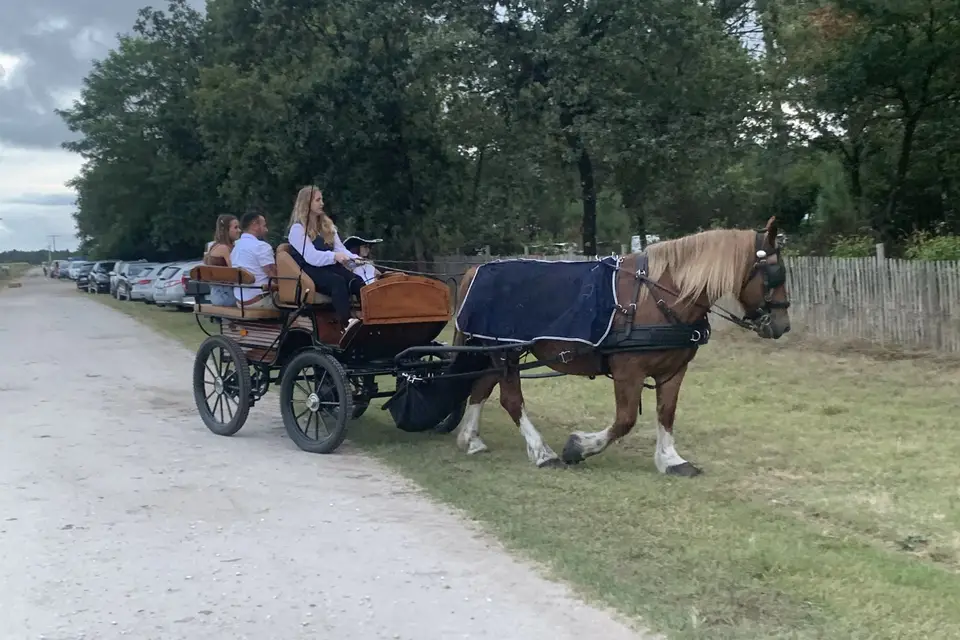 Les Sabots de Menon — photo 6