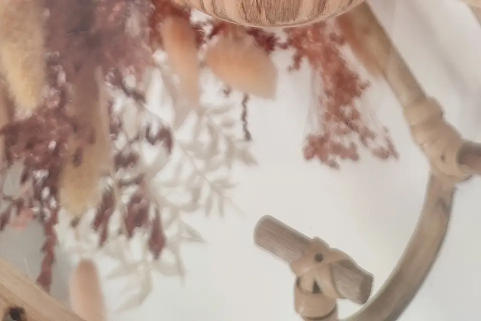 Elecreaana — photo 3