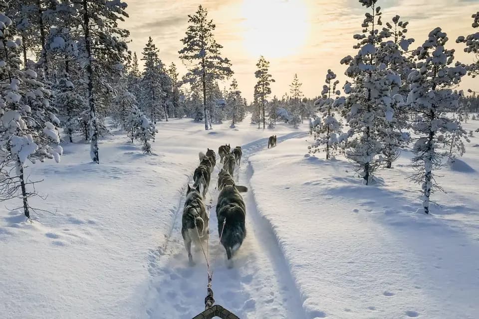 Travel Planner by Coco — photo 4