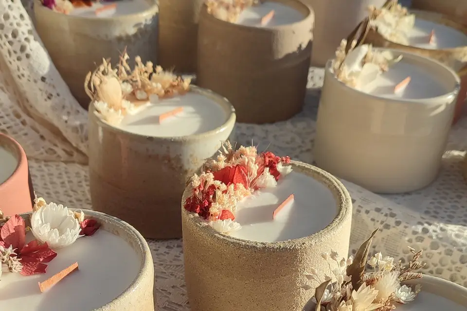 Elecreaana — photo 8