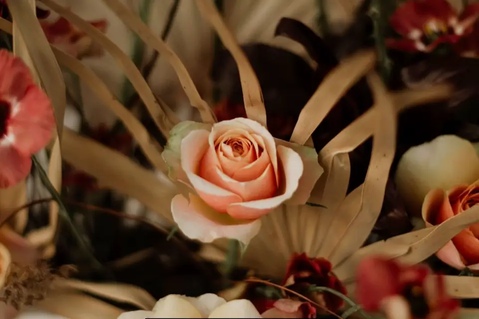 EA Visuals — photo 3