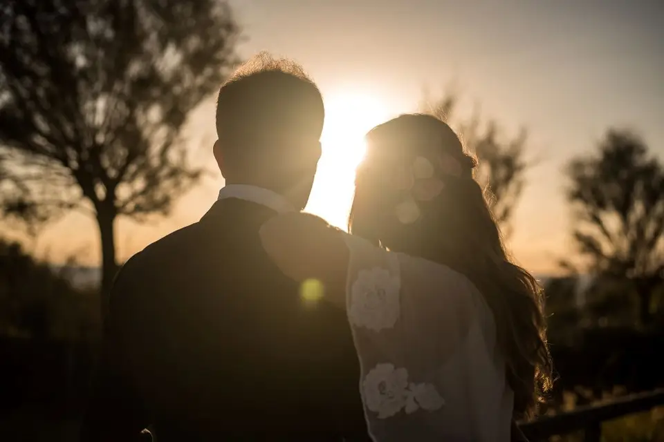 Alacante Film — photo 5