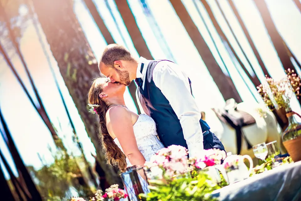 Alacante Film — photo 8