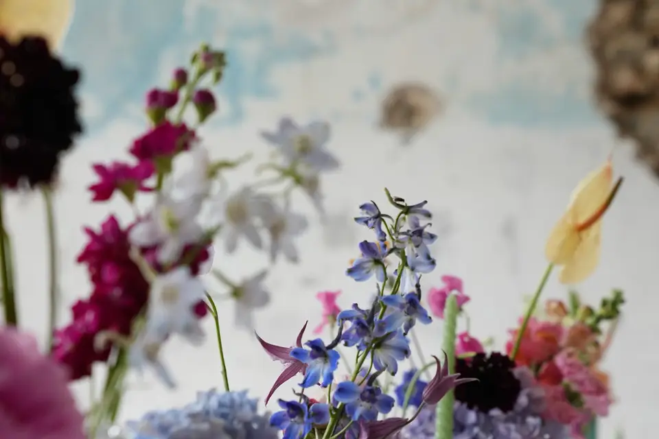 Cécile Descamps Fleuriste — photo 2