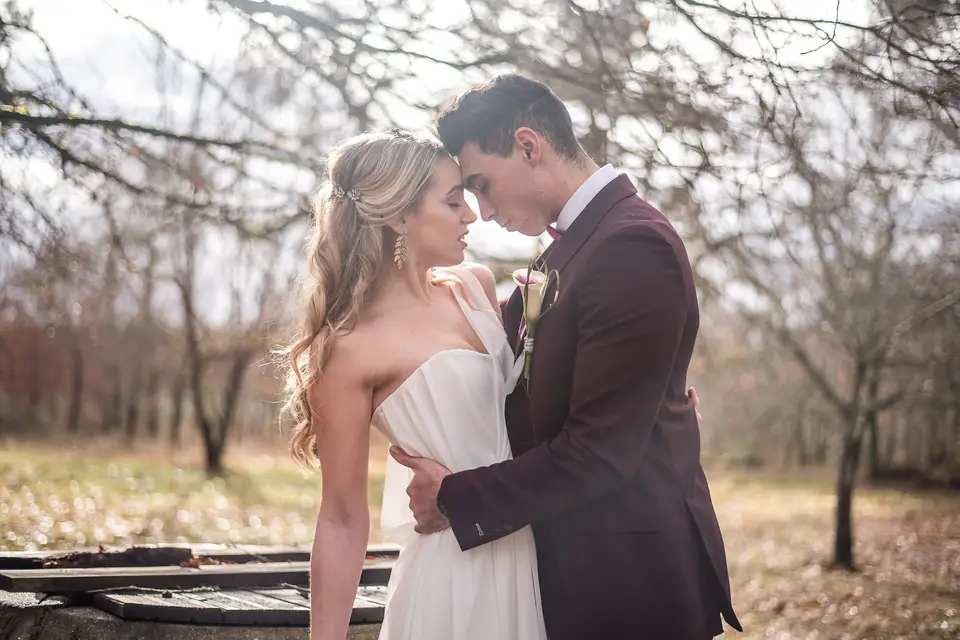 Alacante Film — photo 1