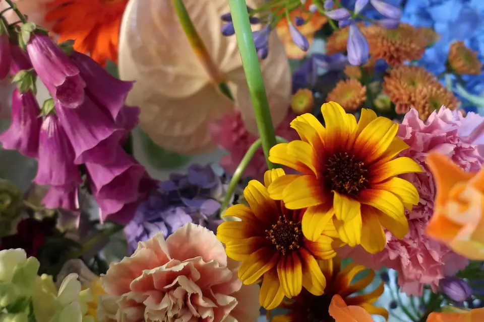 Cécile Descamps Fleuriste — photo 5