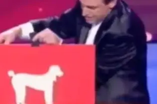 Frank Wells Et Handy - Ventriloquie — photo 7