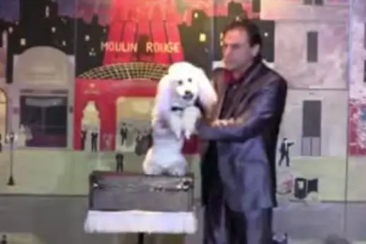 Frank Wells Et Handy - Ventriloquie — photo 1