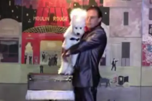 Frank Wells Et Handy - Ventriloquie — photo 3