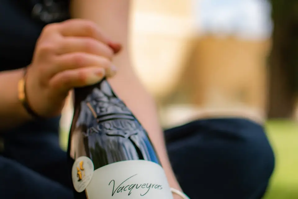 Domaine de Chantegut — photo 1