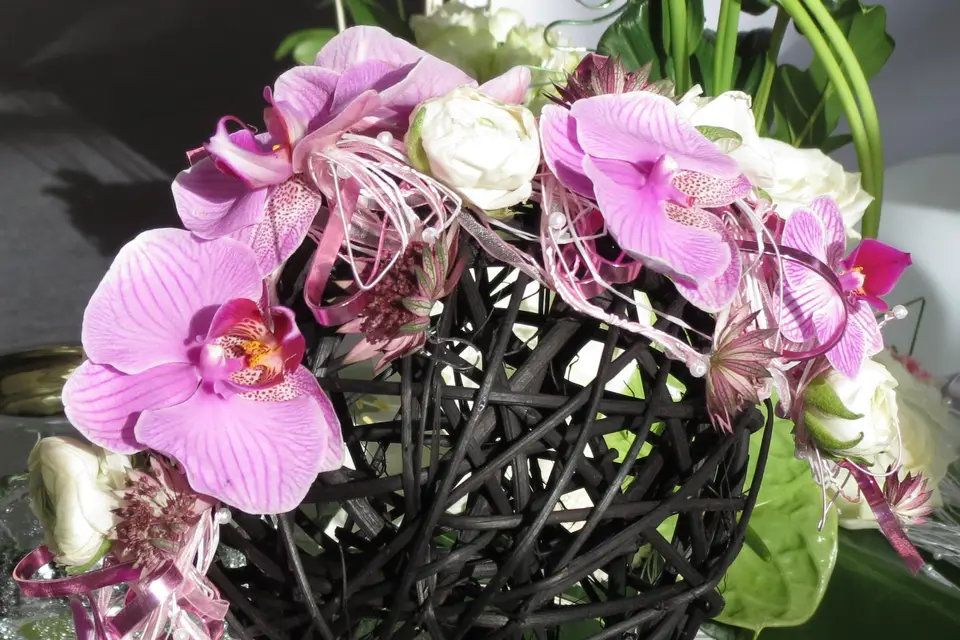 Art' Anim 90 — photo 5