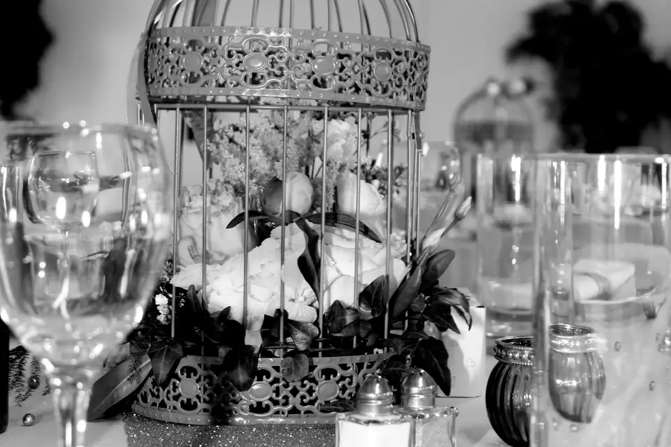 Céline Canarelli Photographe — photo 6