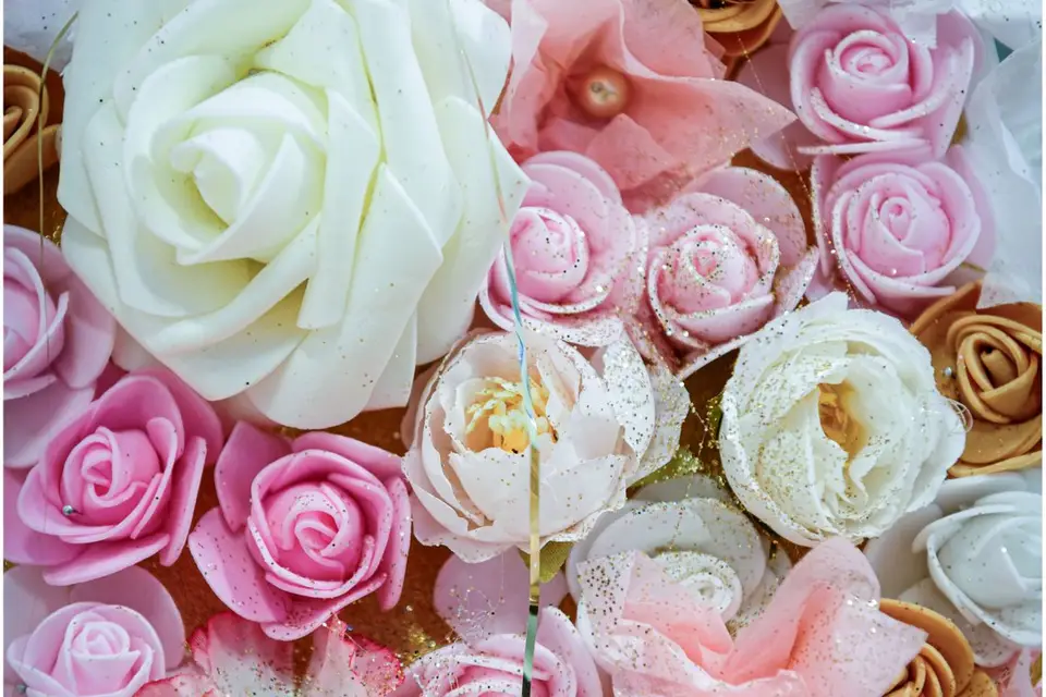 LS Photographie — photo 1