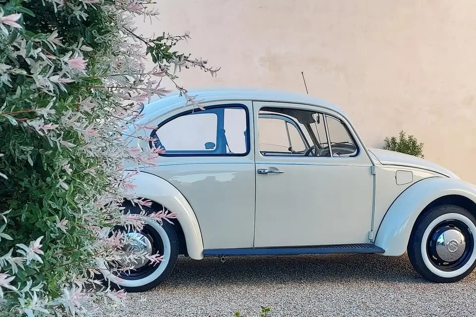 Simone part à l'aventure — photo 2