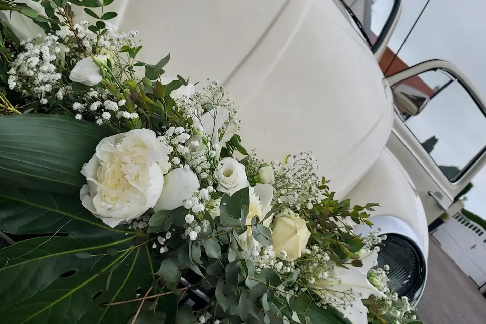 Simone part à l'aventure — photo 3