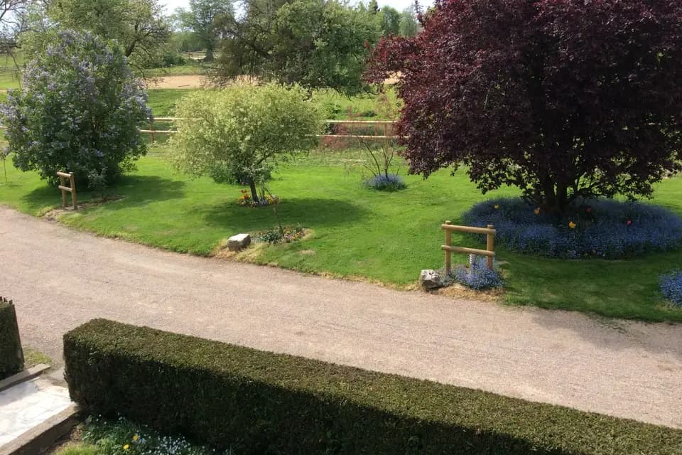 Gîte de la Forêt — photo 3