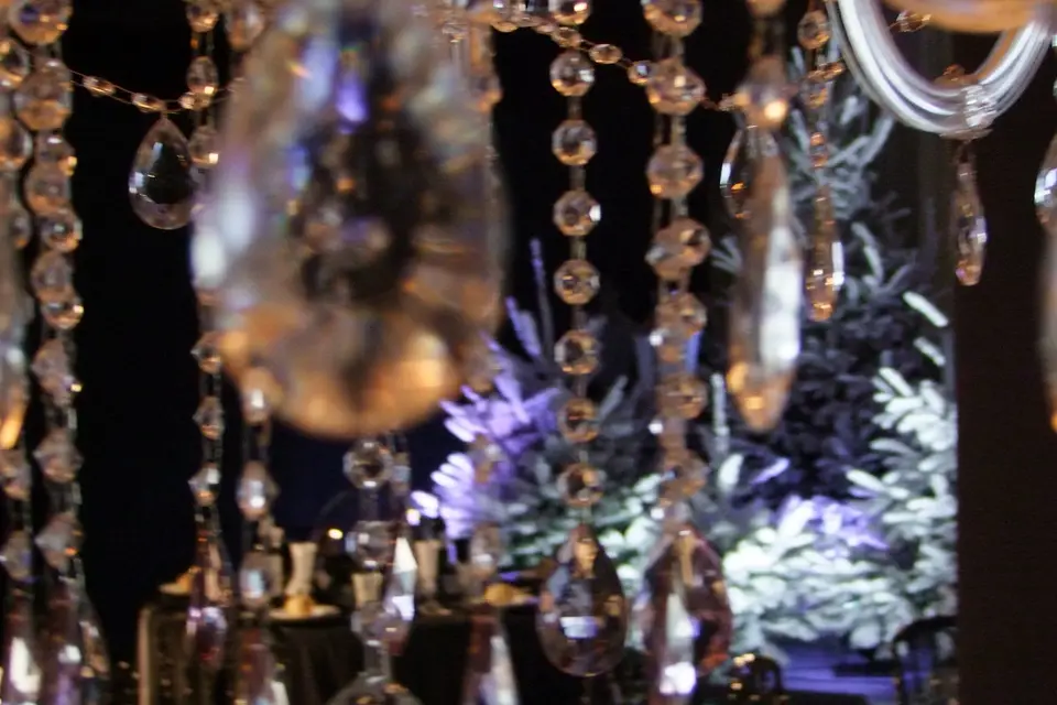 S.A.R.L Agence Évènementielle Jérôme Perri — photo 4