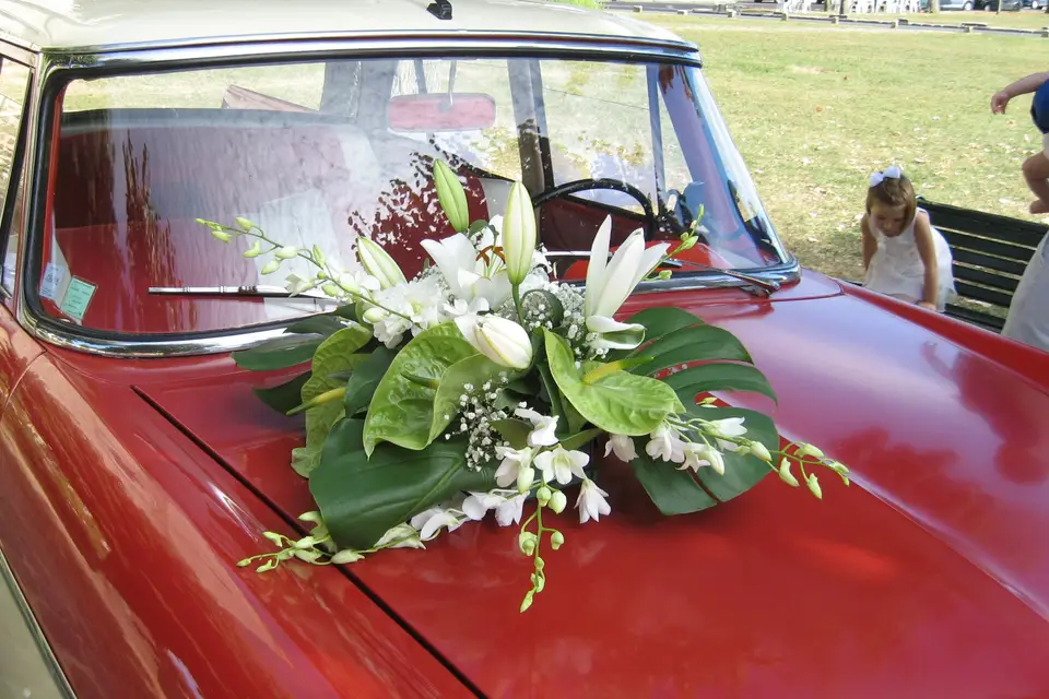 Locancienne77 — photo 4