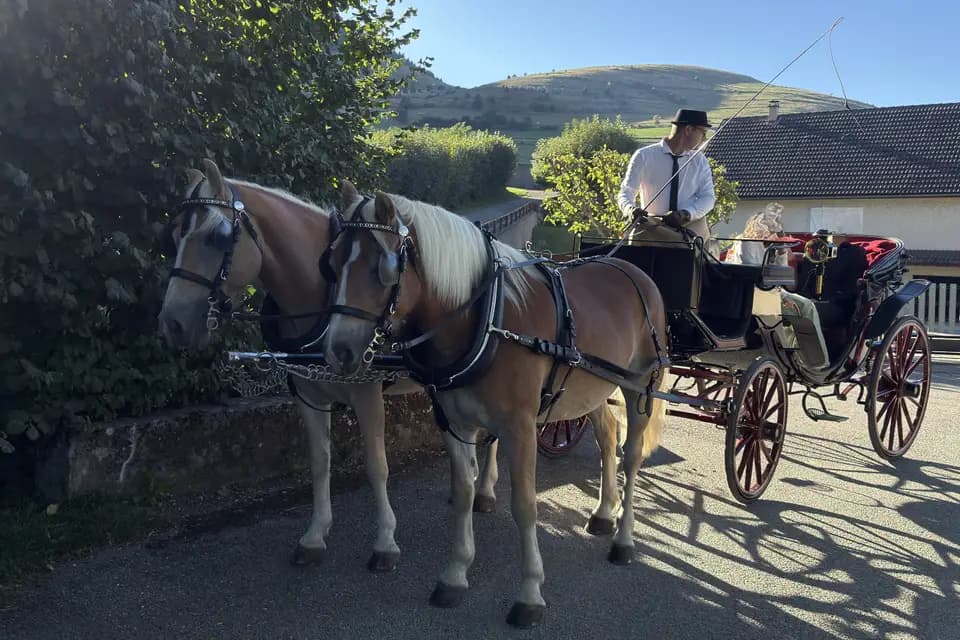 Les Ecuries d'Hercule — photo 2