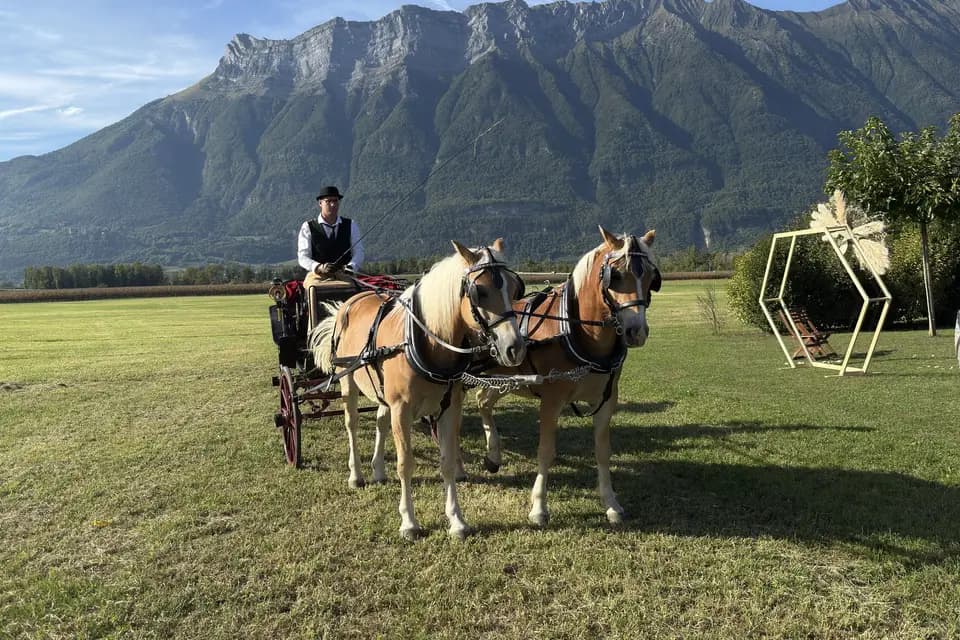 Les Ecuries d'Hercule — photo 4