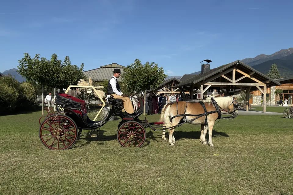 Les Ecuries d'Hercule