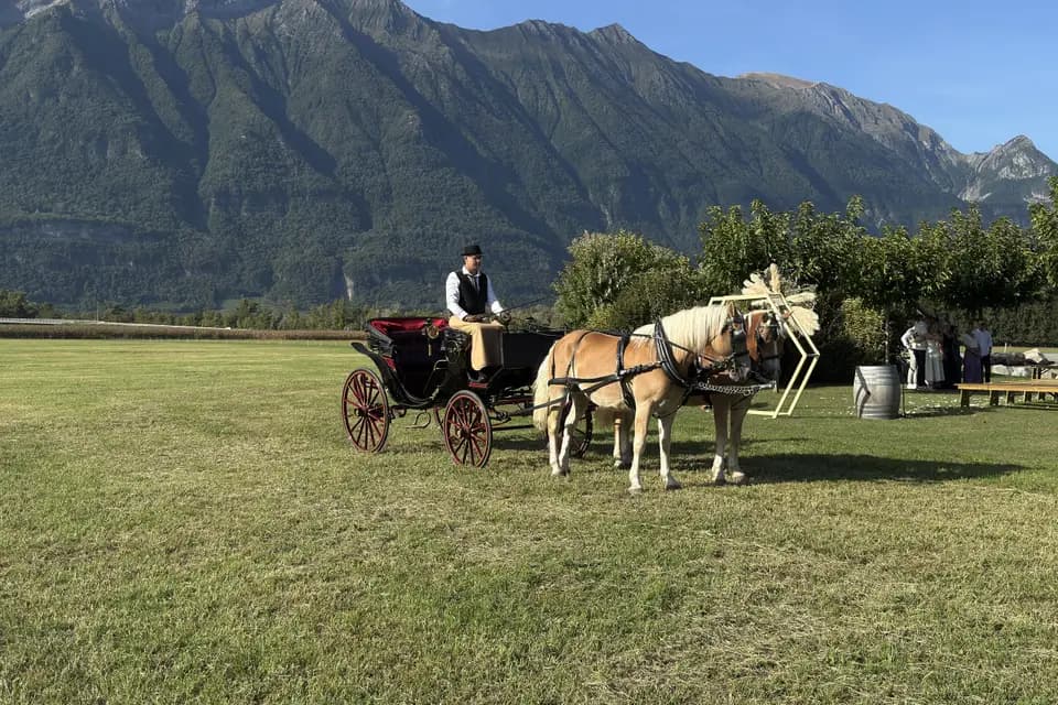 Les Ecuries d'Hercule — photo 6