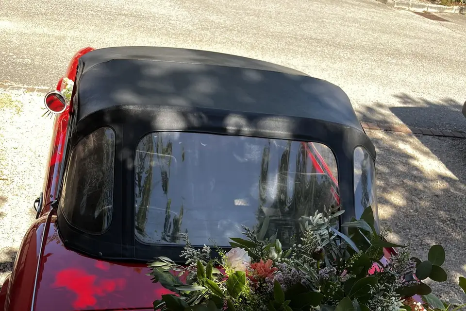 La Caz'en Fleurs — photo 3