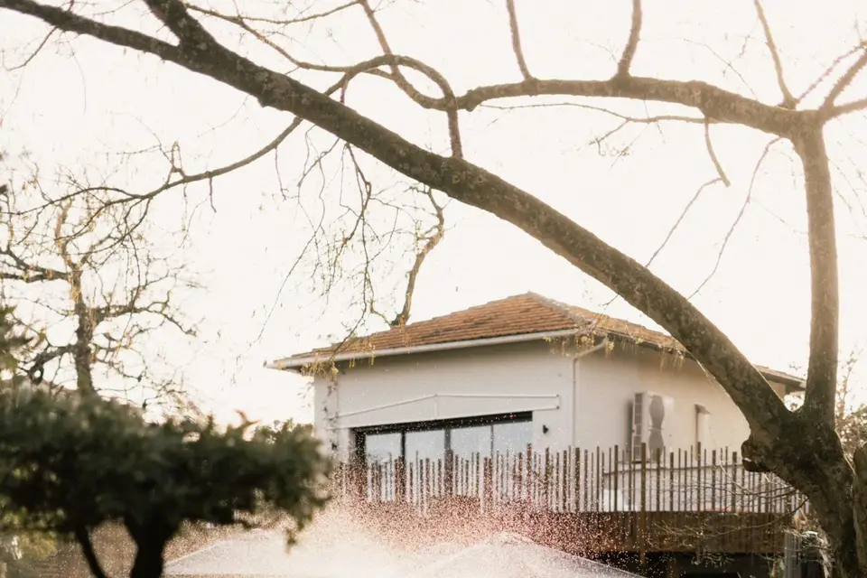 Restaurant Brut — photo 8