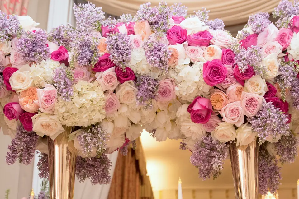 Arums et Délices — photo 4